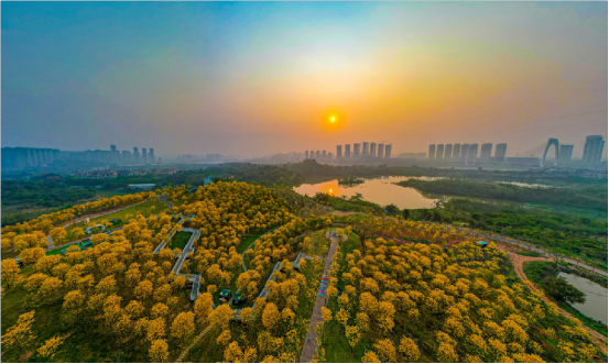 跟着邕BA游南宁！解锁“白天打卡、晚上观赛”的打卡全指南