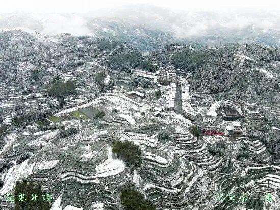 福鼎这里藏着一座“四季画廊”……