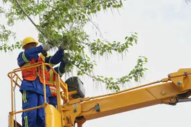 唠“科”话丨“最美四月天”遇上杨柳絮，该拿“粘人”的白毛毛怎么办？图片