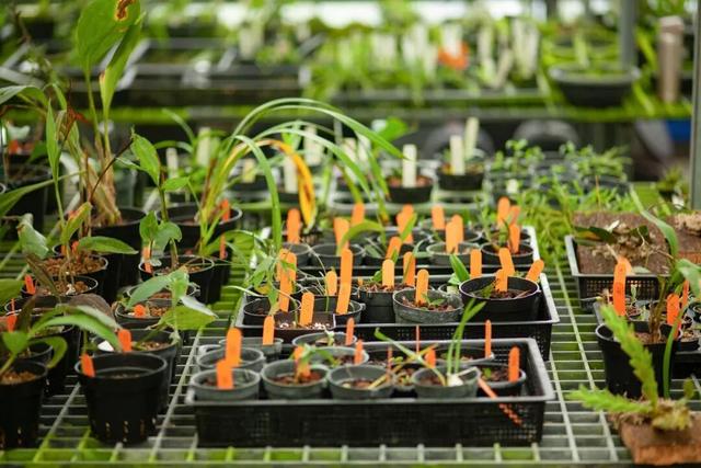 他初中毕业后终身不婚，荒野舍命工作20年，被一群博士封神