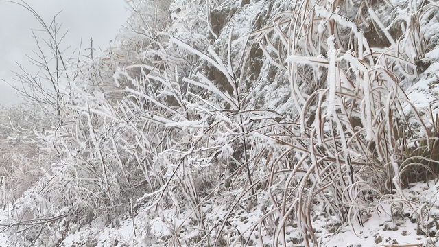 桂林全州变身冰雪童话世界，美不胜收→