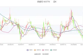 永安行：2024年上半年亏损780.24万元图片