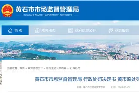 未按安全技术规范进行电梯维护保养，黄石市奥菱达电梯有限公司被罚款2万图片