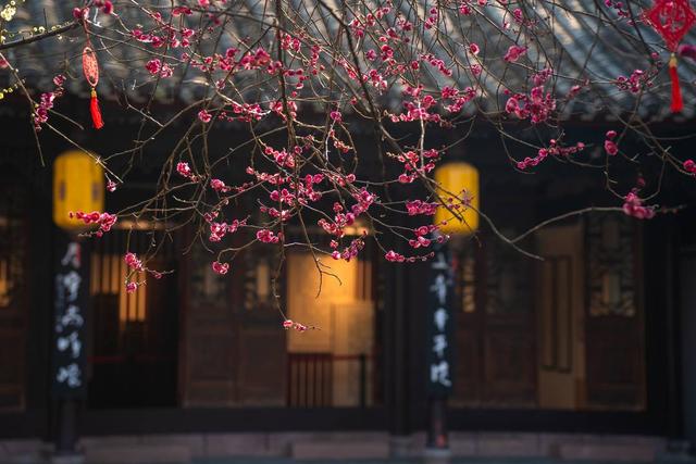 年猪宴、泡温泉、踏雪寻梅……来成都崇州一站式解锁冬日玩法