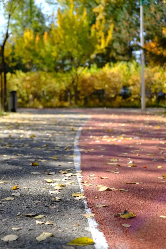 美到犯规！青城的秋，从不偏心南北