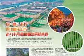 向“新”而行 四川省乐山市 奋力书写高质量发展新答卷图片