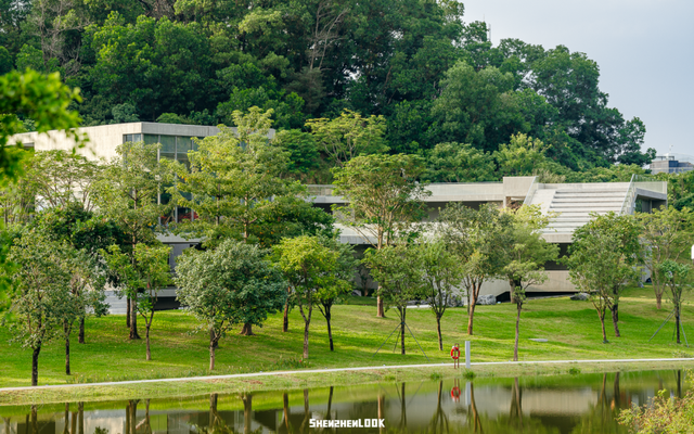 深圳环境五星的「网红公园」，不能再低调了