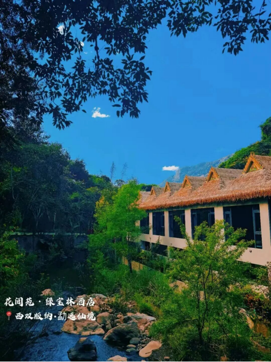 六国媒体齐聚西双版纳：勐远仙境的雨林奇遇，让欧洲记者集体“沦陷”！