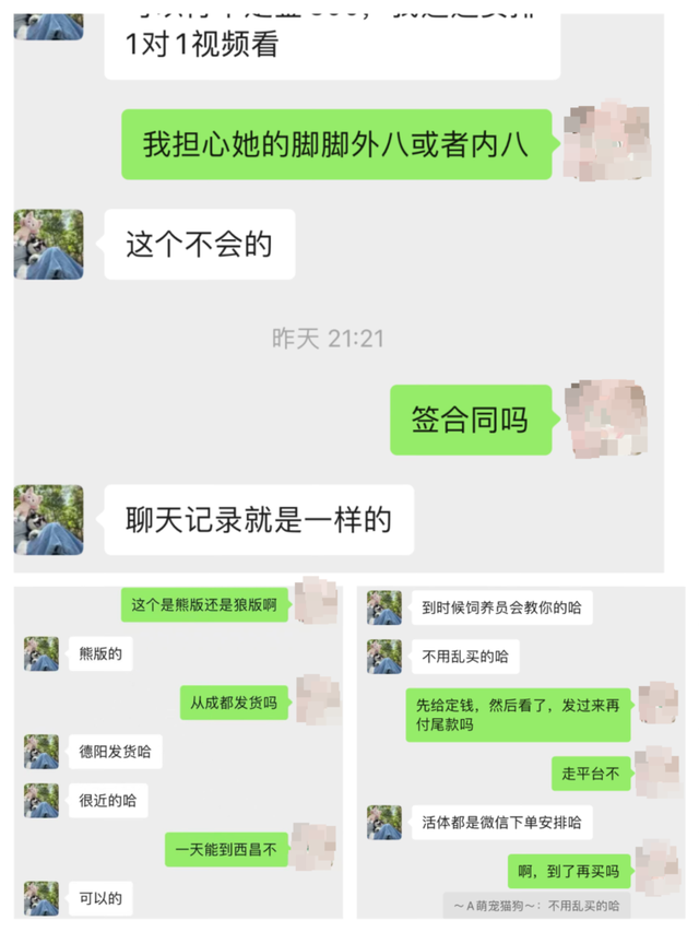 女子网购宠物遇陷阱！到货的“萌宠”是病狗，且另买狗粮才“包活”丨追踪到底