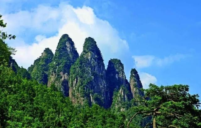 这个周末，来赣州一起“森”呼吸！