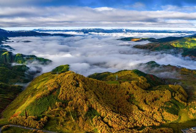 赏彩林不用去川西 凉山的“大兴安岭”，随手一拍就是大片！丨图集