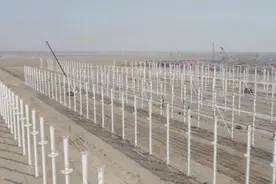 项目建设“满弓劲发” 为高质量发展蓄势赋能图片