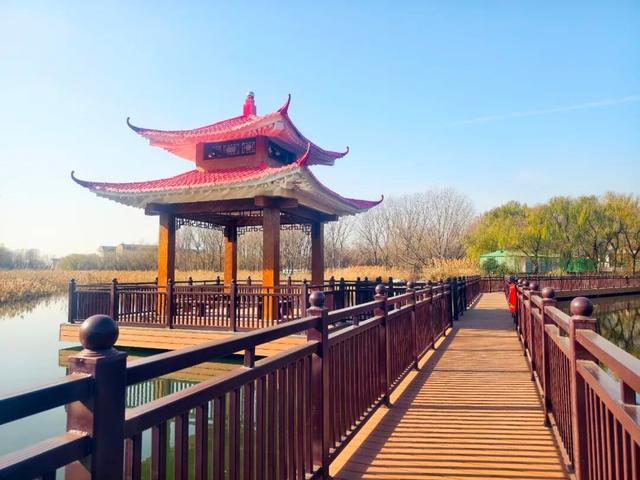 淄川这个公园“变身”完成！快来打卡！