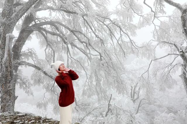 多地下雪！广西限定版“冰雪世界”已上线