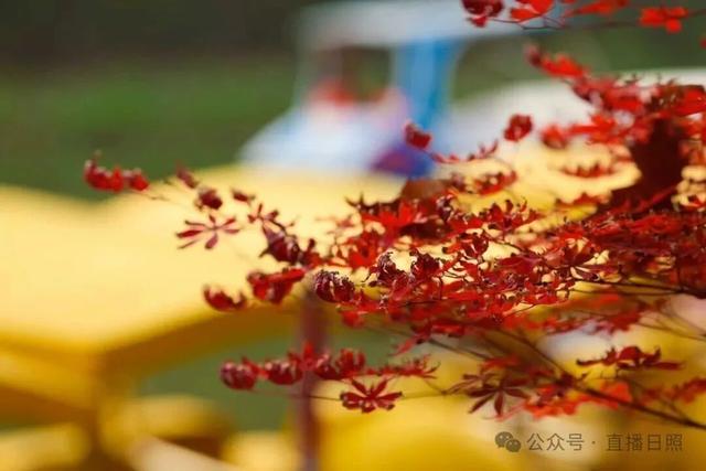 一分钟！我要知道日照这里的所有信息→