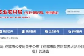 禁养犬增至35种！成都市限养区禁养犬品种目录和大型犬标准公布图片