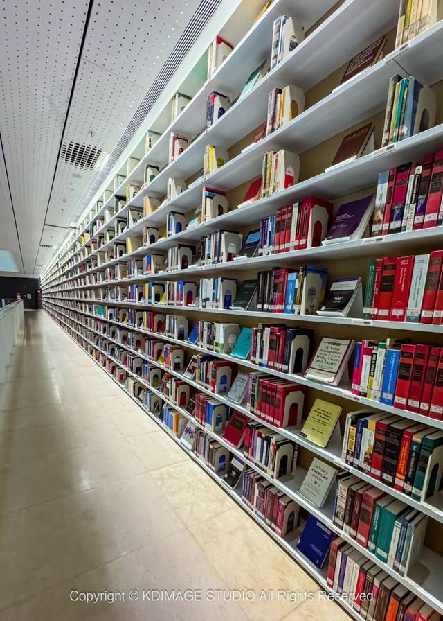 ​别再说深圳是文化沙漠！这份双馆暴走攻略，让你重新认识这座城市