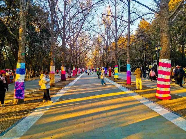 京城拍客今日精选｜大寒迎春日 冰雪绽芳华