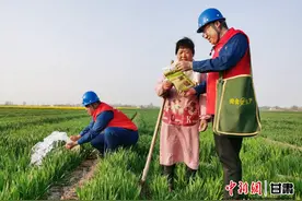 甘肃庆阳：“贴心电”护高标准农田建设 释放乡村振兴新活力图片