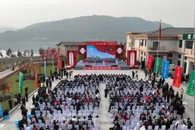 四川苍溪：山水村村民的新年愿望图片