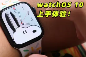 Apple Watch大升级？watchOS 10体验图片