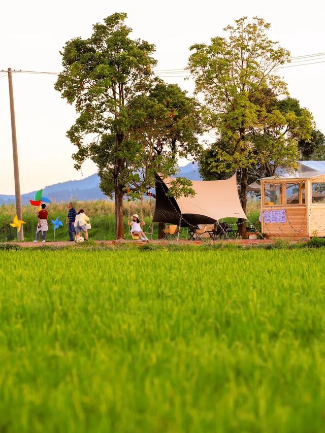 看稻浪、观滇池、赴一场运动之约……昆明这个地方，你可别错过了！