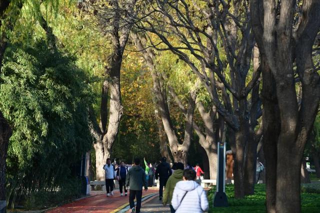 美翻了！邢台达活泉初冬限定“色彩盛宴”