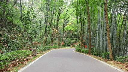 欢乐跑“520赛道”！环石燕湖一周，每步都是风景→