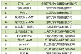 今年第二批新能源汽车下乡车型目录发布，共45款图片