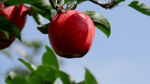 【冬季暖阳 凉山不凉】冬天的盐源！这不是仙境是什么