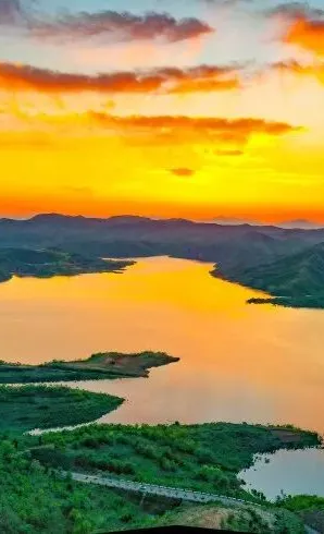 季节限定！洛阳些“海”人少景美，快出发！