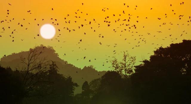 星湖秋冬推介会亮相！深圳、香港市民纷纷点赞