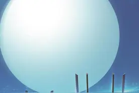 TP-Link或遭美禁售图片