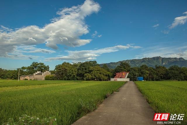 岁暖时刻丨秋访茶源渡：一段隐藏在山水间的峥嵘岁月