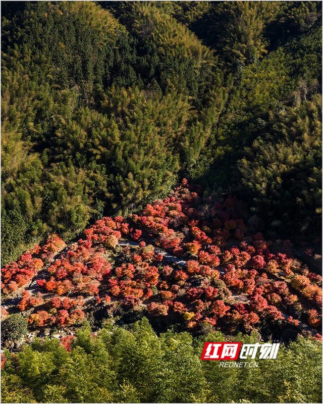 潘华摄影作品：漫步永州蓝山谷 邂逅湘江源头的层林尽染