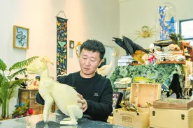 赋能乡村新发展！海口这些村里来了艺术家图片