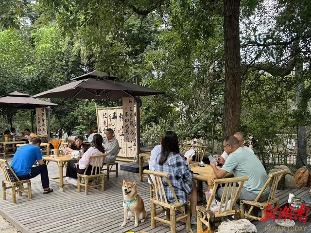 热度不减 欢乐加倍——第五届湖南旅发大会后怀化城区首个周末见闻湖南日报头版