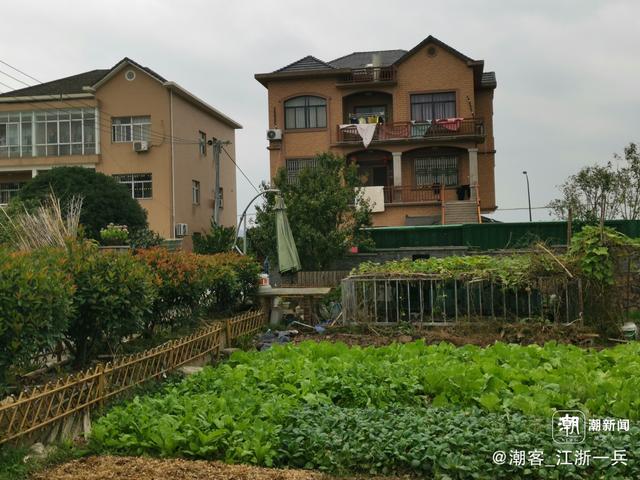 写点生活｜重阳节前游良渚