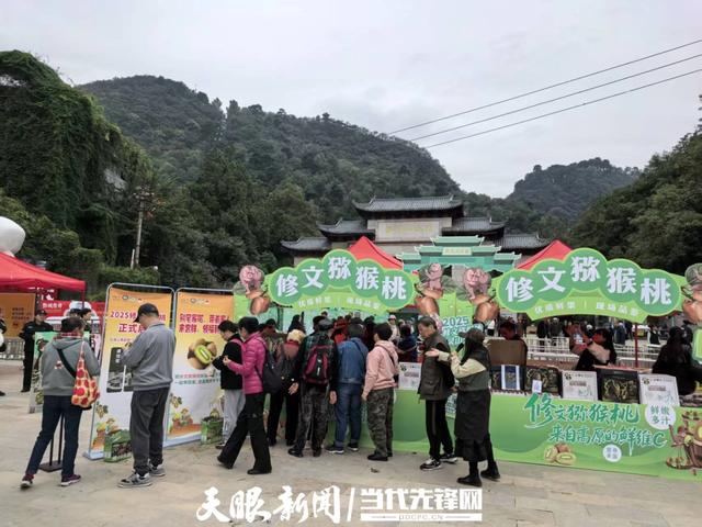 修文猕猴桃鲜甜滋味满溢贵阳