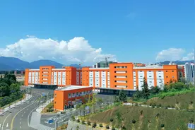 全“绿”以赴 点“绿”成金图片