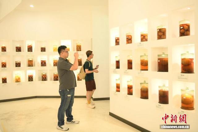 海外华文媒体走进中国·三峡柑橘文化时空馆参观 了解千年柑橘历史