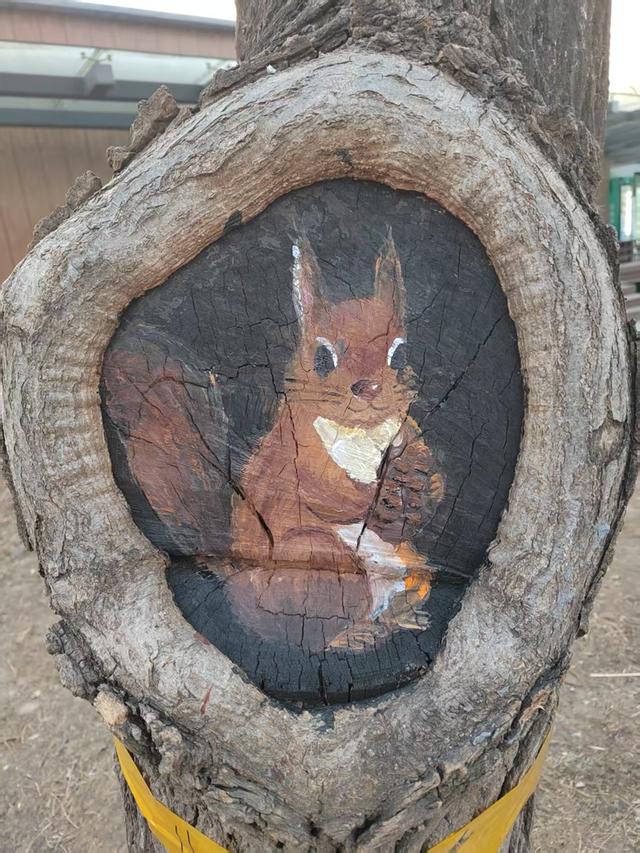 南苑森林湿地公园老树洞“活”了！松鼠卡皮巴拉探头迎客