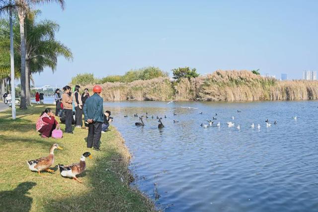 民宿满房！弥勒避寒游持续升温～
