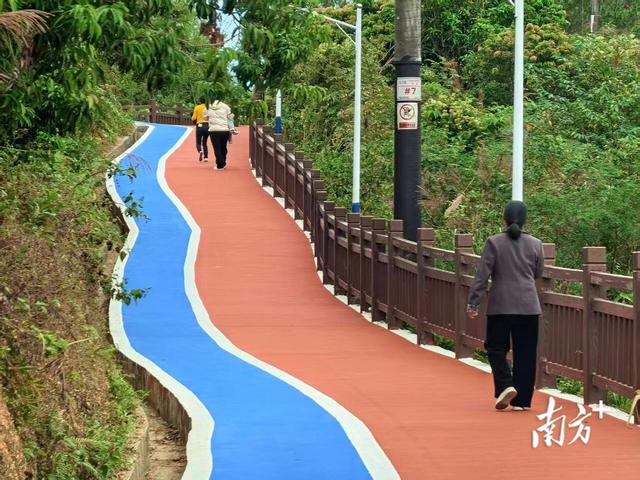 阳东区大八镇：山间小路“变身”彩色廊道