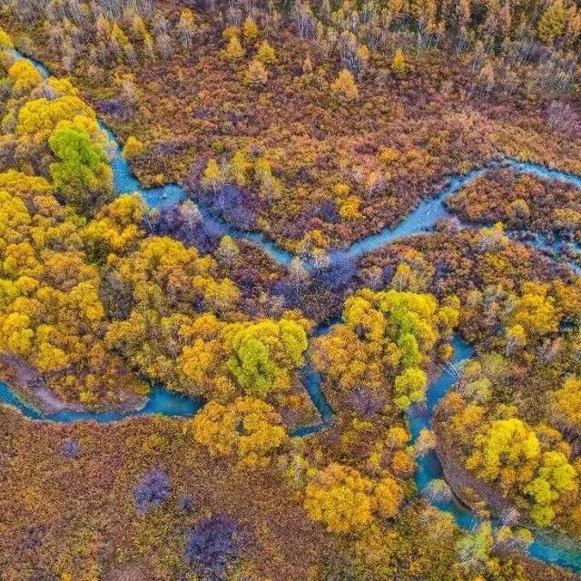 200元起飞！许多巴彦淖尔人都忍不住了......