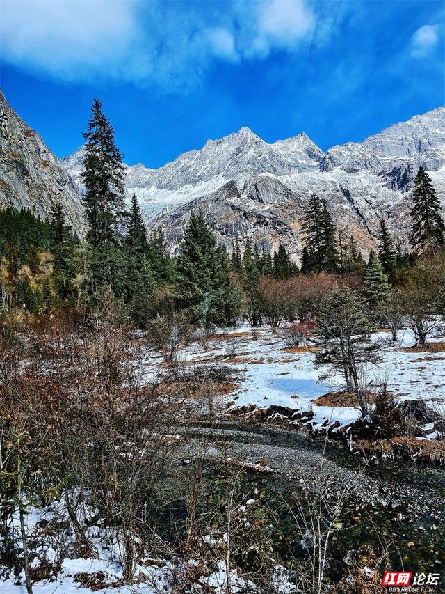 听，雪落下的声音！这里是四姑娘山的冬天