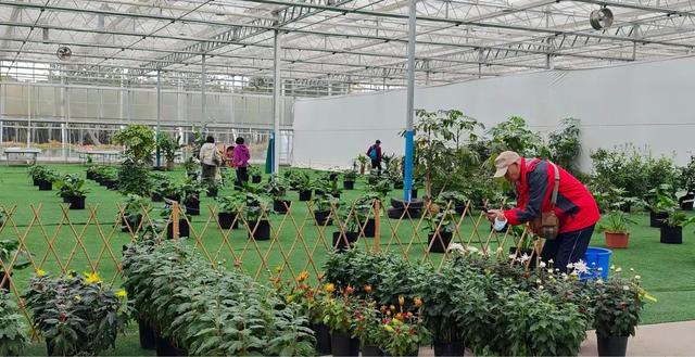 限时开启！花展进行中，还可以带回家→