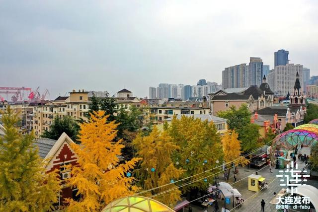 尽享秋日浪漫，大连24个“叶景打卡地”名单来了！