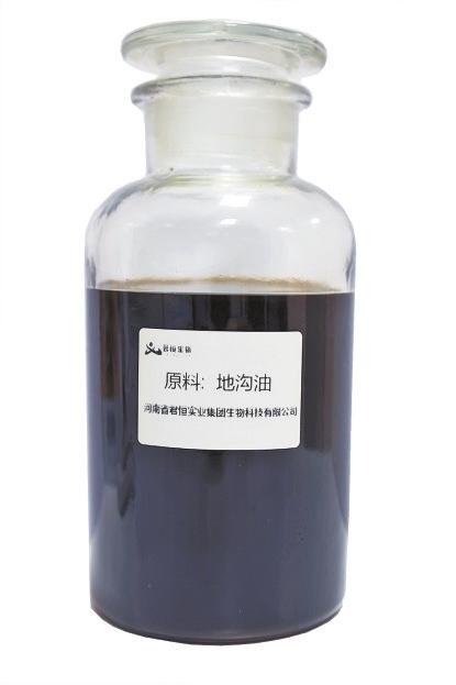地沟油的云端逆袭