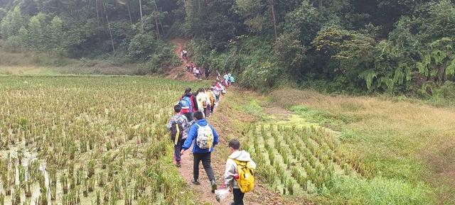 首个秋假去哪里？自贡高新区28名“小小探险家”探秘森林挑战自我